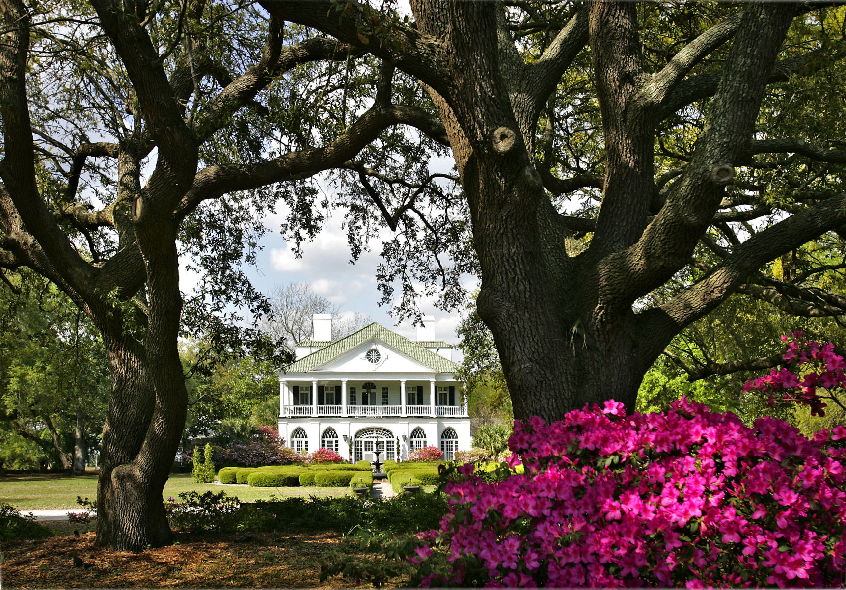 Lowndes Grove Plantation